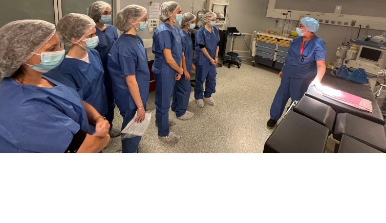 Découverte des métiers de la santé